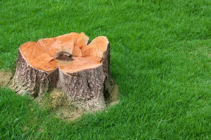 Bush Stump Grinding in Waldorf, MD