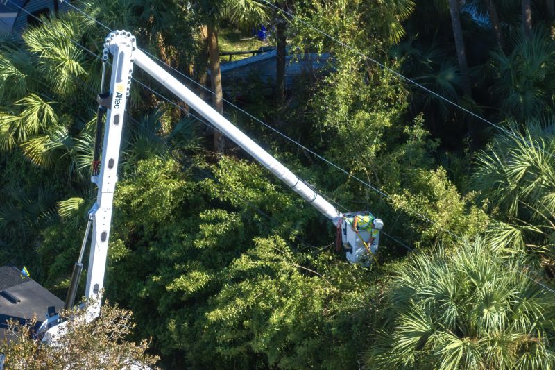 Commercial Tree Trimming in Doylestown, PA