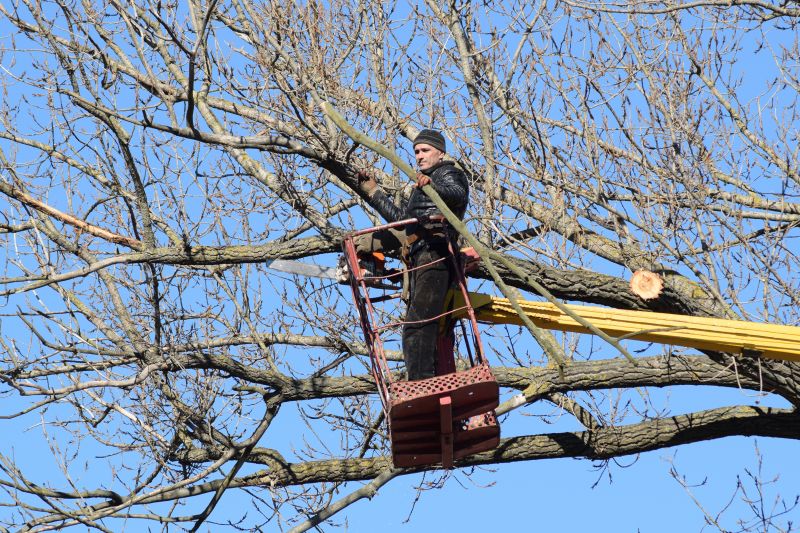 Emergency Tree Trimming in Doylestown, PA