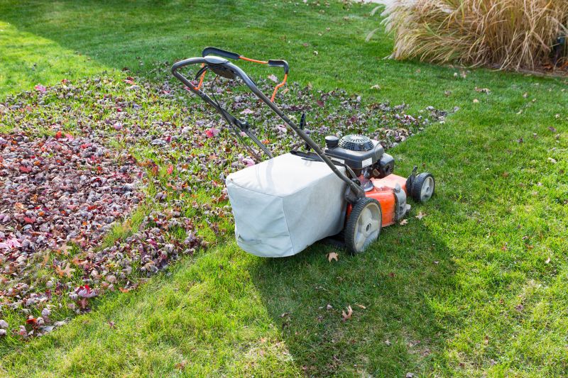 Fall Yard Maintenance