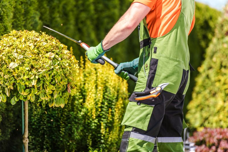 Hedge Shaping Service in Aiken, SC