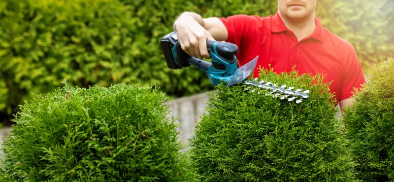 Hedge Trimming in Honolulu, HI