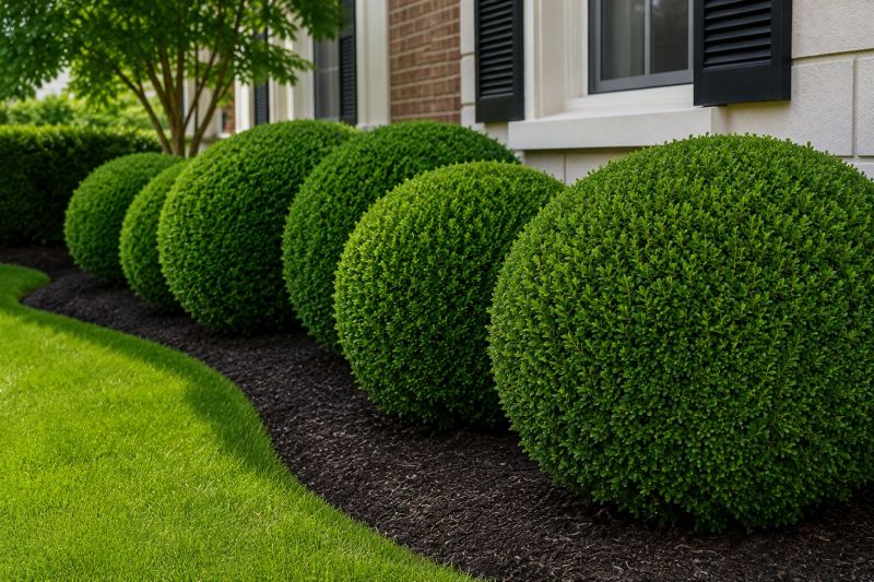 Shrub Pruning in Aiken, SC