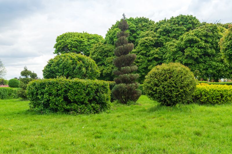 Decorative Shrub Shaping