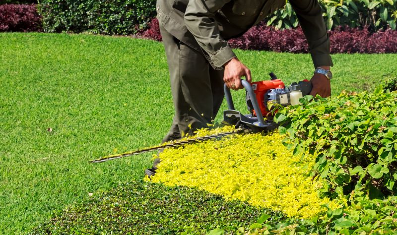 Landscaper Pruning a Large Bush
